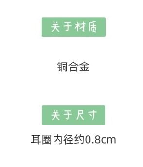 Earring Huggie Rhinestone