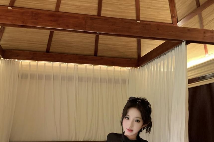 Long-Sleeve Mock Neck Plain Sheer Blouse