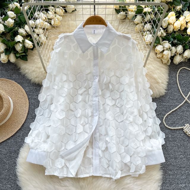 Sheer Long-Sleeve Solid Casual Shirt
