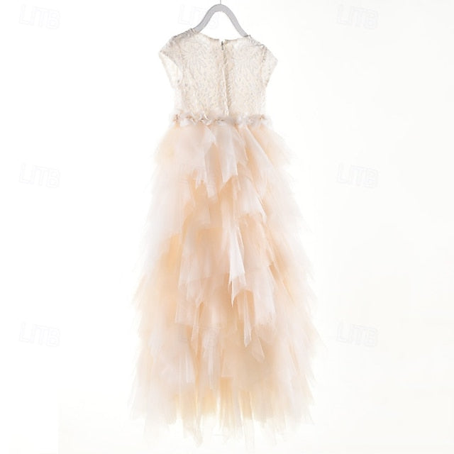 Flower Girls' Kid's Girl Dress Princess
