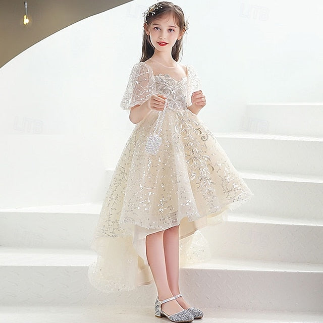 Girl Kid's Flower Girls' Princess Dress
