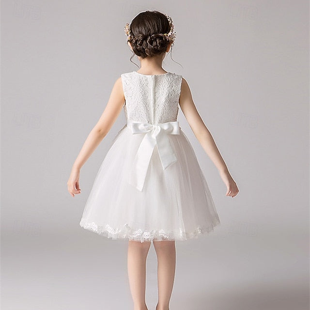 Girl Dress Flower Girls' Princess Kid's