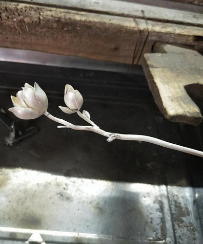 Chic Silk Sterling Silver Yulan Magnolia Hairpin TX047