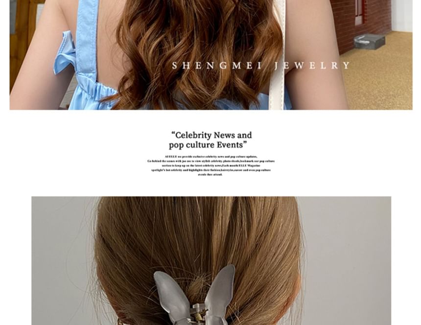 Mesh Butterfly Claw Hair