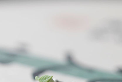 Earring Stud Ceramic Peach