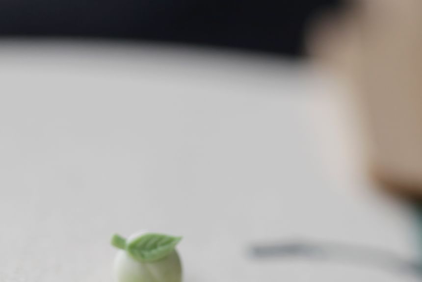 Earring Stud Ceramic Peach