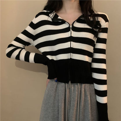 Striped V-Neck Cropped Knit Top