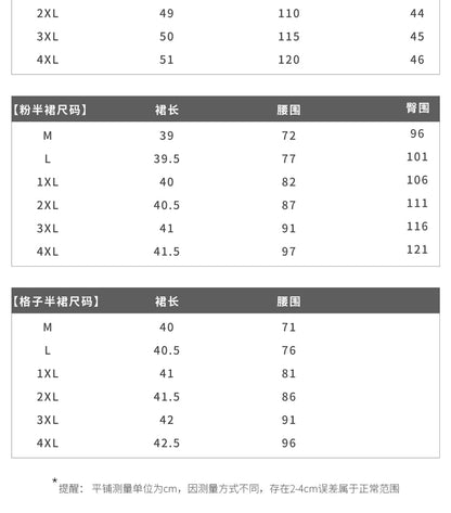 Plus Size High Rise Plaid Pleated Mini A-Line Skirt / Embroidered Skirt