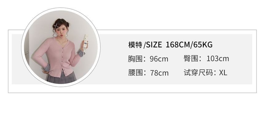 Plus Size High Rise Plaid Pleated Mini A-Line Skirt / Embroidered Skirt