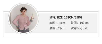 Plus Size High Rise Plaid Pleated Mini A-Line Skirt / Embroidered Skirt