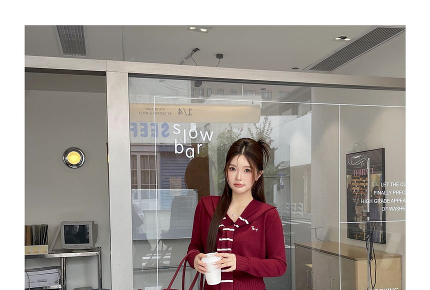 Plus Size Set: Dog Print Sweater + Striped Knit Cape