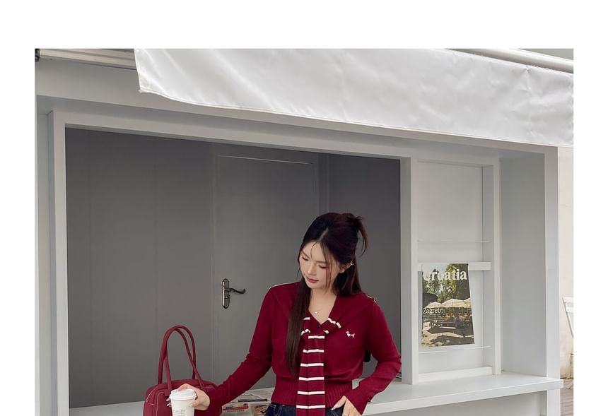 Plus Size Set: Dog Print Sweater + Striped Knit Cape