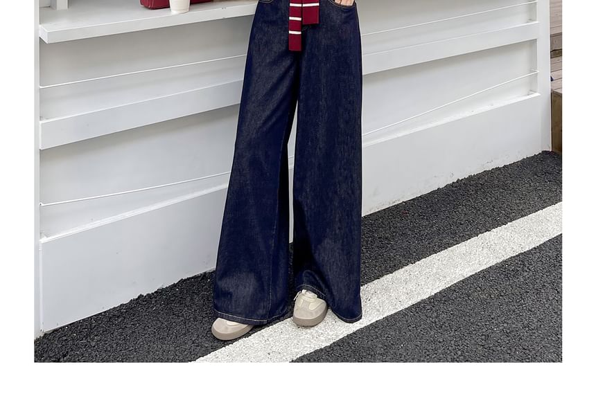 Plus Size Set: Dog Print Sweater + Striped Knit Cape