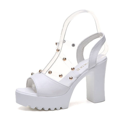 Chunky Heel Platform Sandals