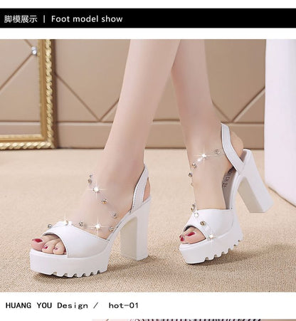 Chunky Heel Platform Sandals