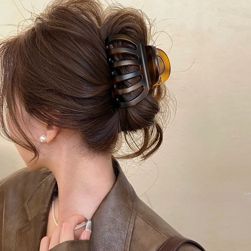 Claw Acrylic Clip Hair