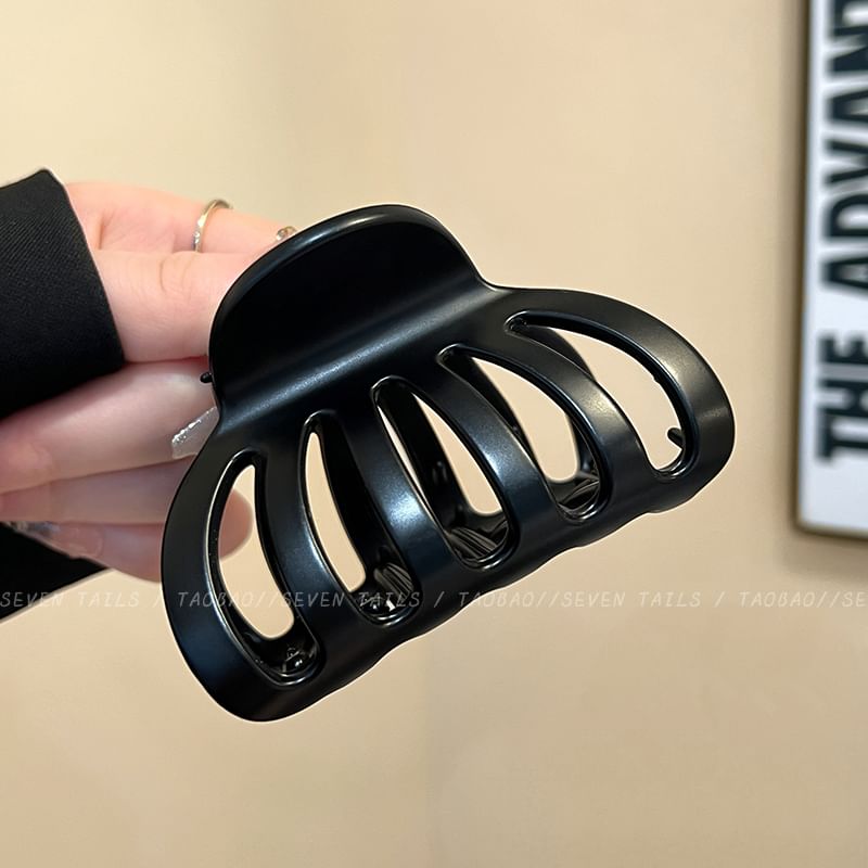 Claw Acrylic Clip Hair