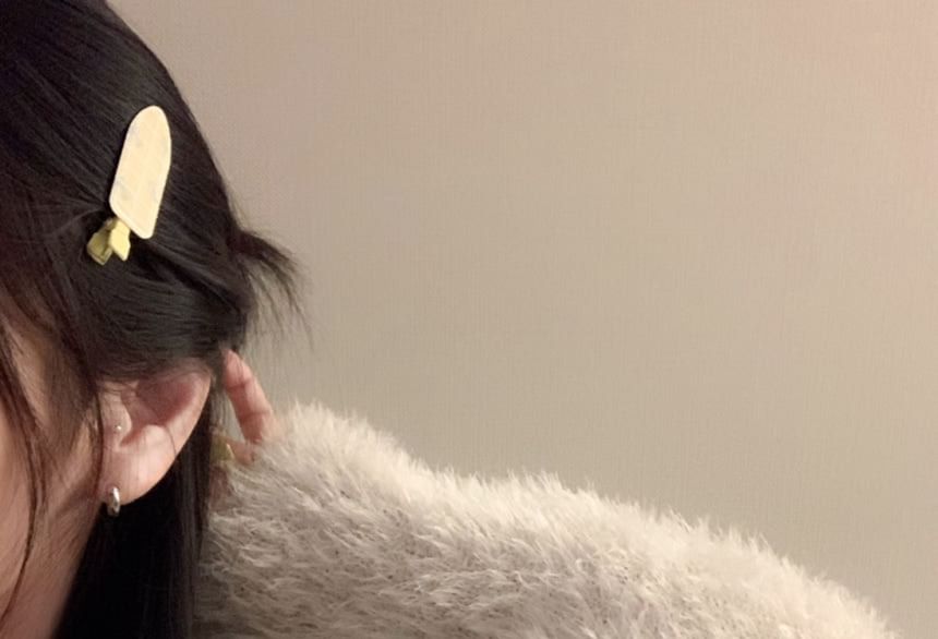 Patterned Hair Acrylic Clip Set of 2: