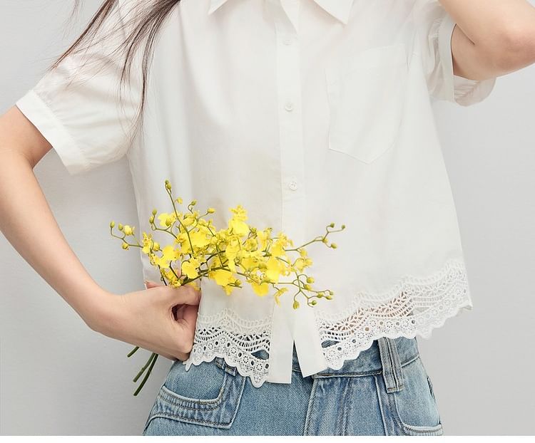 Short Sleeve Collared Lace Panel Shirt