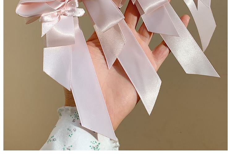 Rabbit Ear Clip Bow Set / Hair