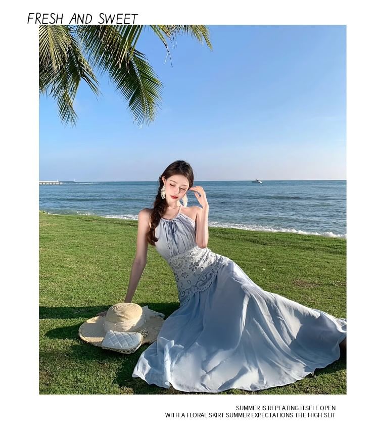 Sleeveless Sheer A-Line Maxi Dress - Altfashion Shop