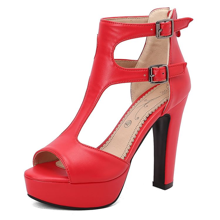 Peep Toe Double-Strap Platform Chunky Heel Sandals