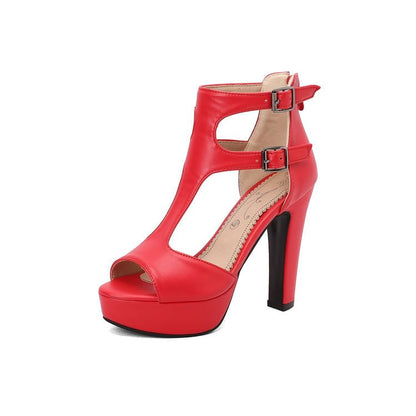 Peep Toe Double-Strap Platform Chunky Heel Sandals