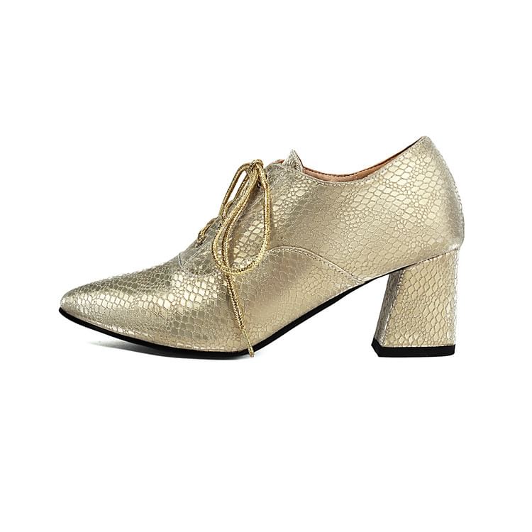 Pointed Lace-Up Chunky Heel Loafers