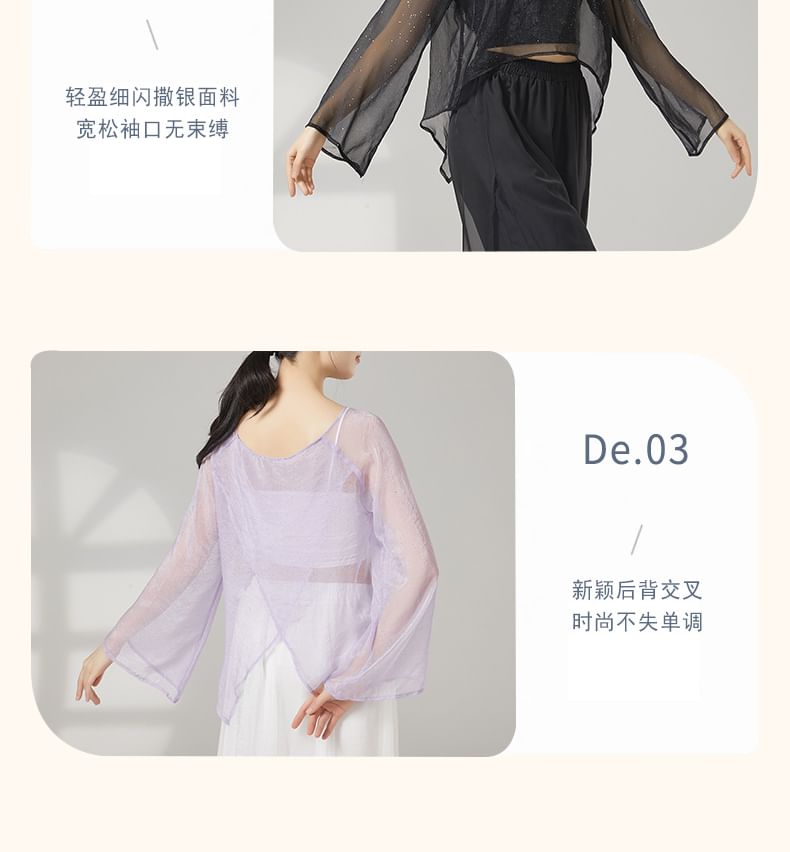 Sheer Boat-Neck Long-Sleeved Dance Top