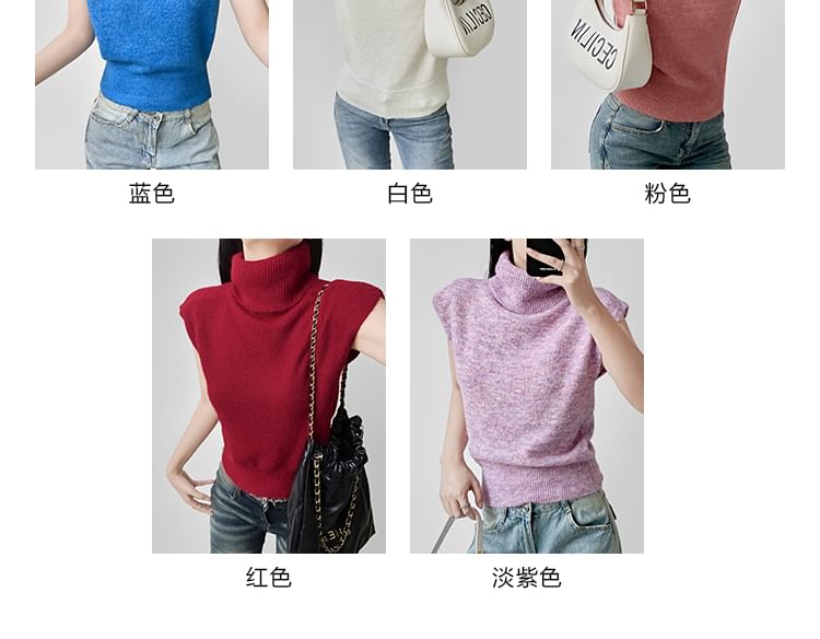 Cropped Knit Top with Turtleneck and Short Cap Sleeves in Solid Color