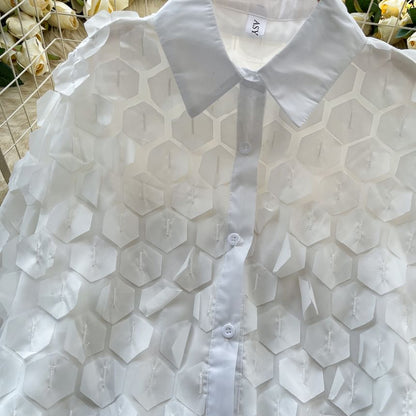 Sheer Long-Sleeve Solid Casual Shirt