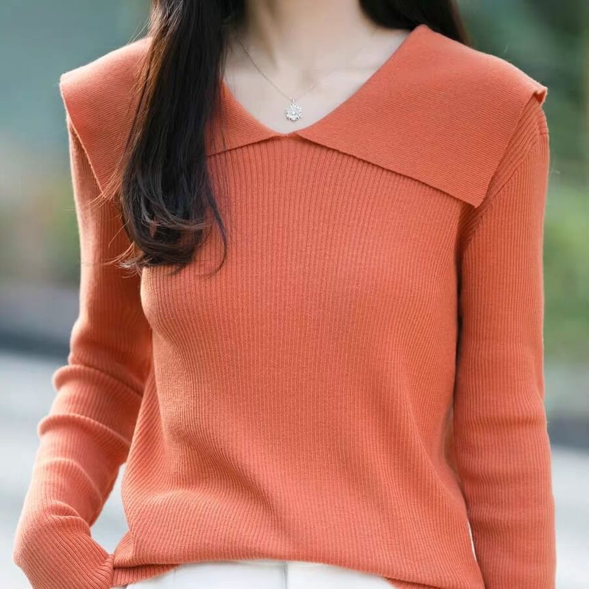 Knit Polo Top with Long Sleeves