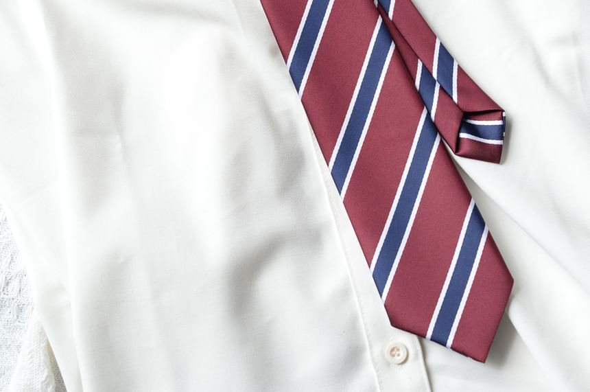 Striped Neck Tie (Various Designs)
