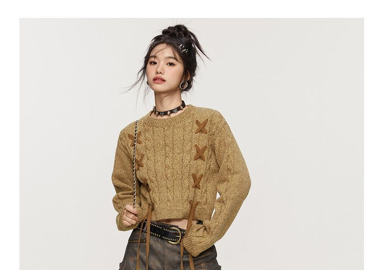 Crew Neck Plain Lace-Up Cropped Sweater
