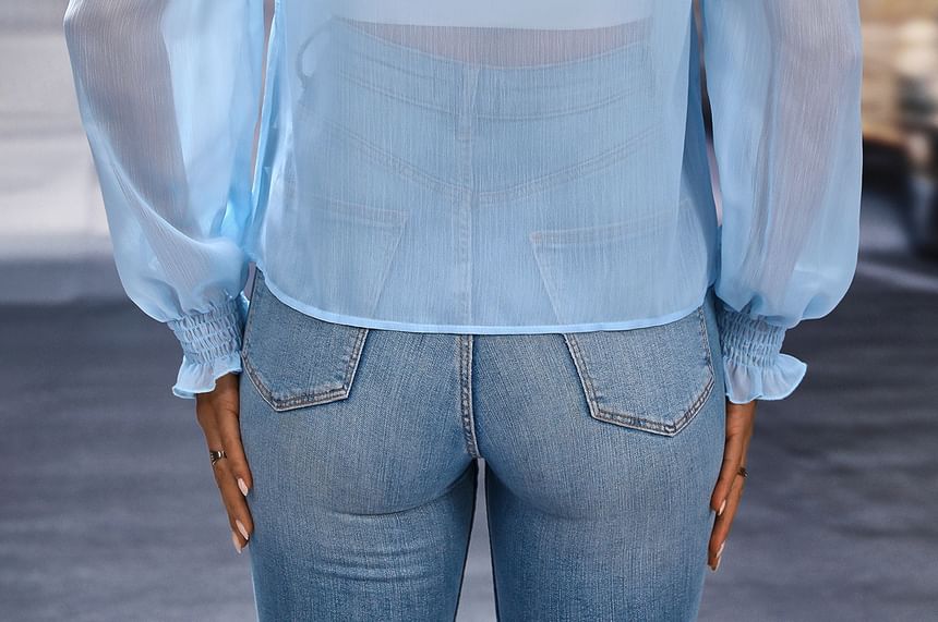 Ruffle Trim Sheer Blouse with V-Neck and Long Sleeves