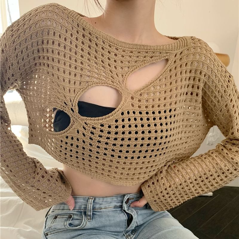 Pointelle Crop Knit Top with Round Neck