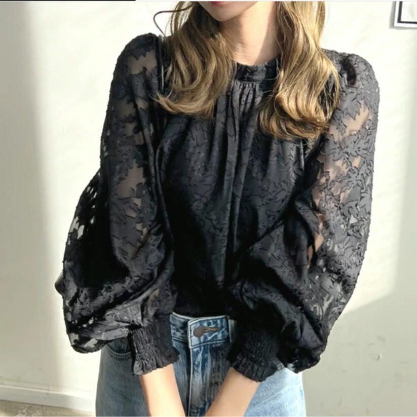 Puff Sleeve Crewneck Lace Blouse