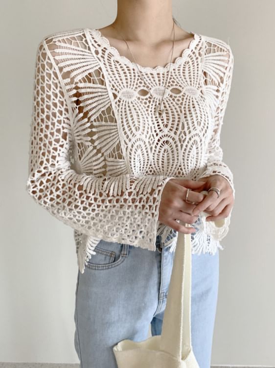 Round Neck Long Sleeve Scallop Trim Crochet Knit Top
