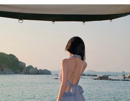Sleeveless Crop Top and Maxi Skirt Set
