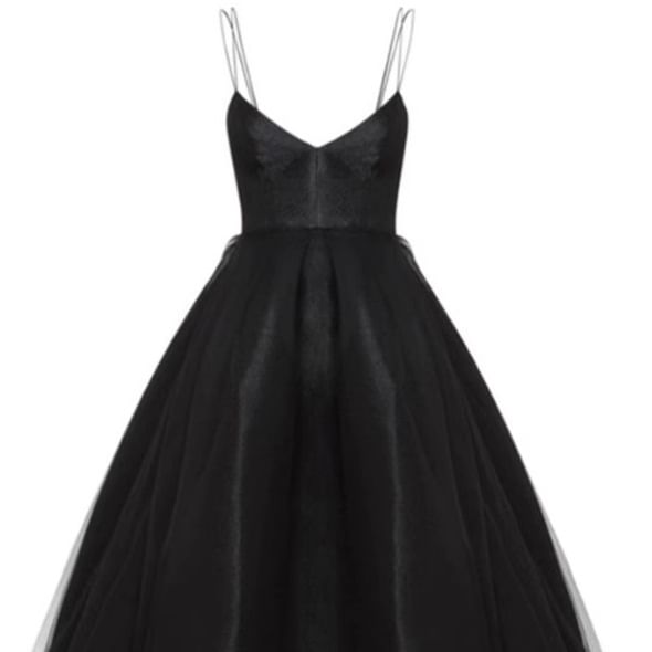 Spaghetti Strap V-Neck Plain A-Line Evening Gown