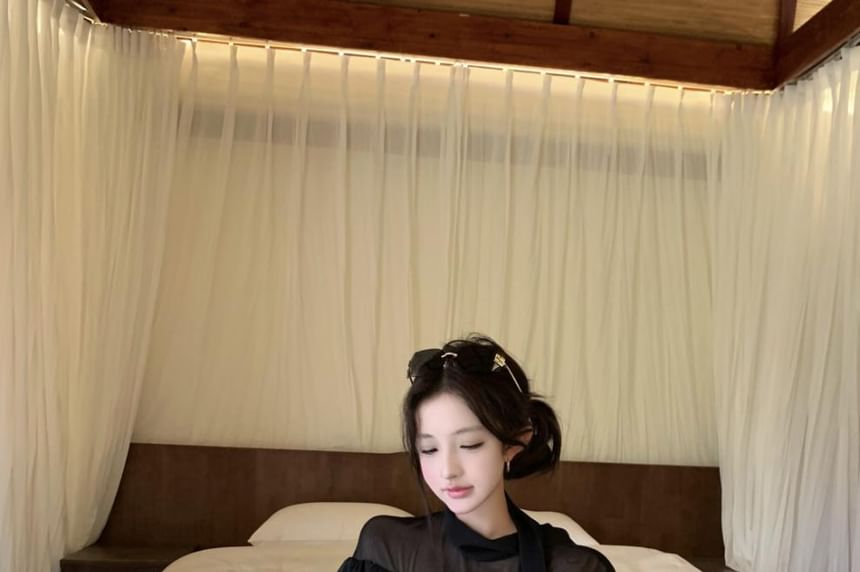 Long-Sleeve Mock Neck Plain Sheer Blouse
