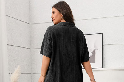 Plus Size V-Neck Blouse with Wide Leg Pants Set