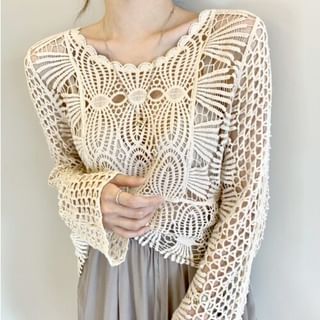 Round Neck Long Sleeve Scallop Trim Crochet Knit Top