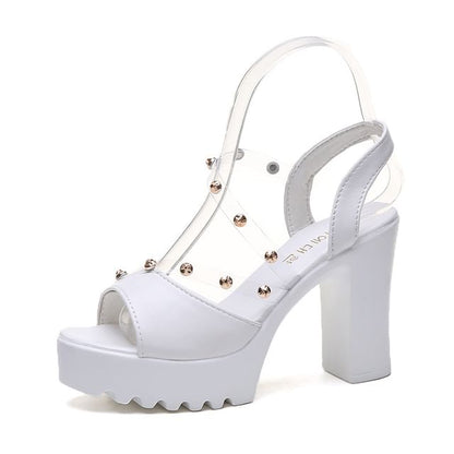 Chunky Heel Platform Sandals