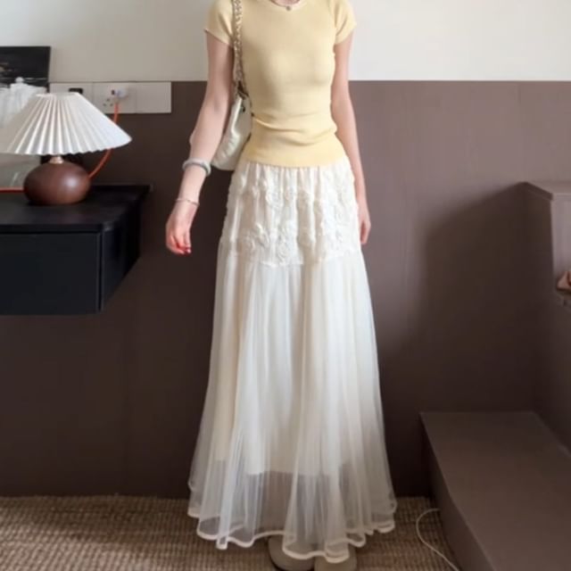 Mesh Maxi Flared Skirt with High Waist