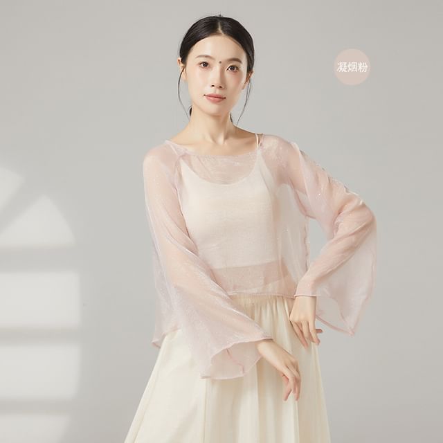 Sheer Boat-Neck Long-Sleeved Dance Top