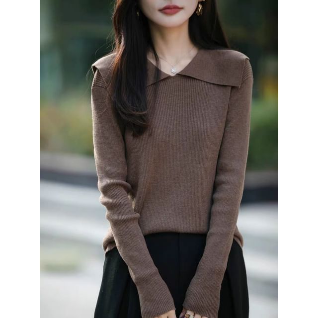 Knit Polo Top with Long Sleeves
