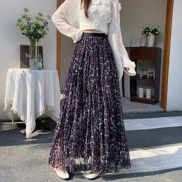 Leopard Print Crinkle Mesh Maxi Skirt