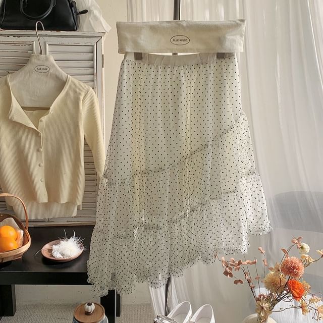 Dotted Tiered Asymmetrical Mesh A-Line Skirt High Waist