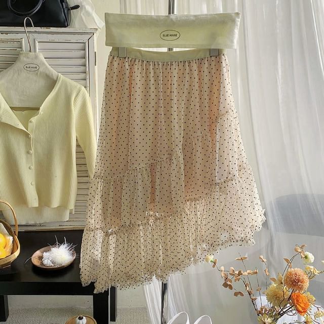 Dotted Tiered Asymmetrical Mesh A-Line Skirt High Waist